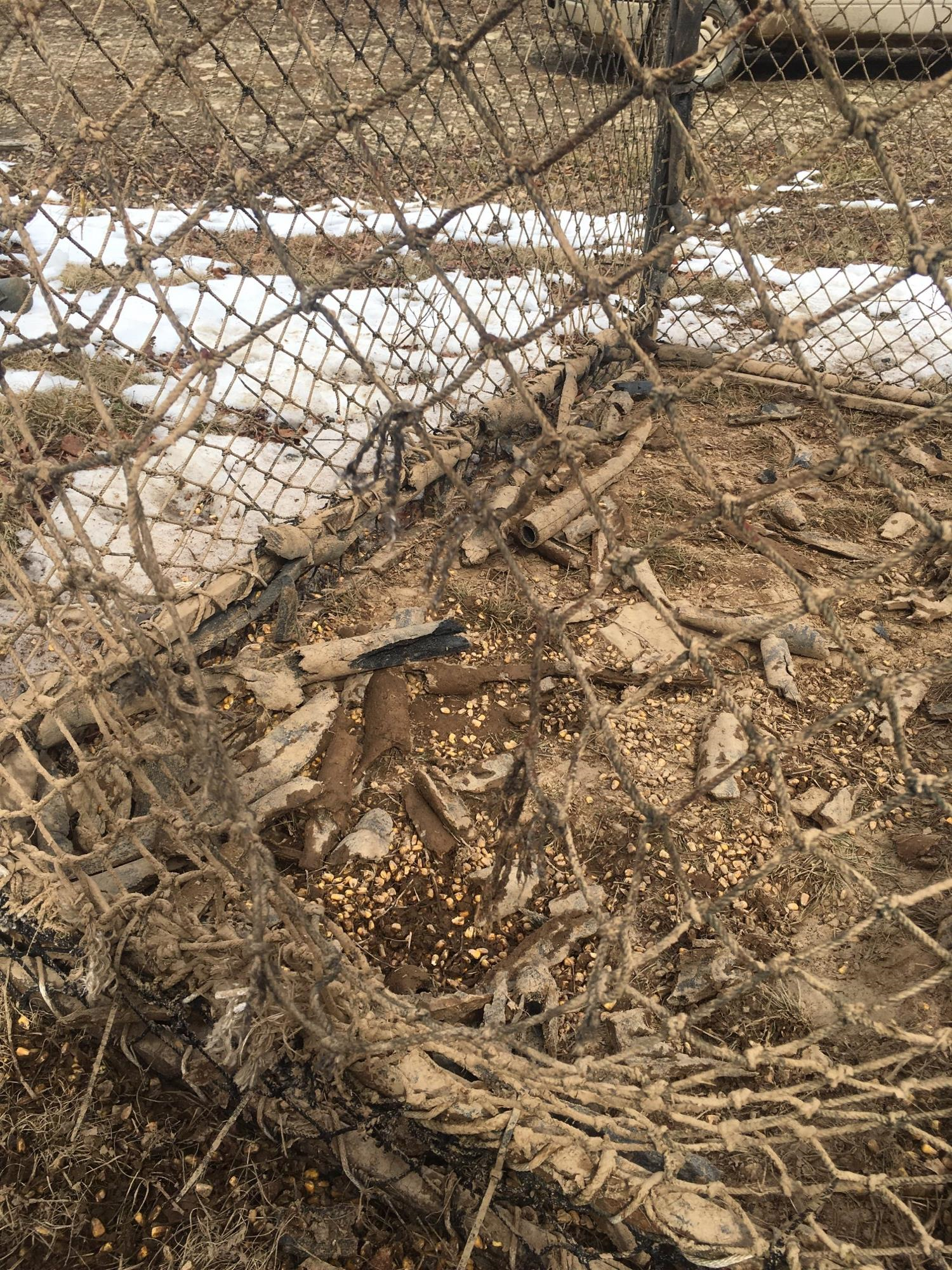 hole in netting of Clover Trap made by bear