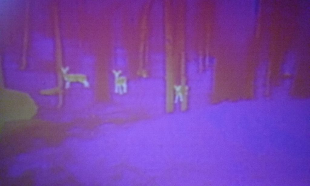 FLIR - forward-looking infrared