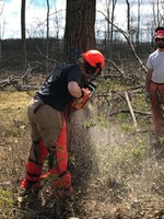 April and chainsaw