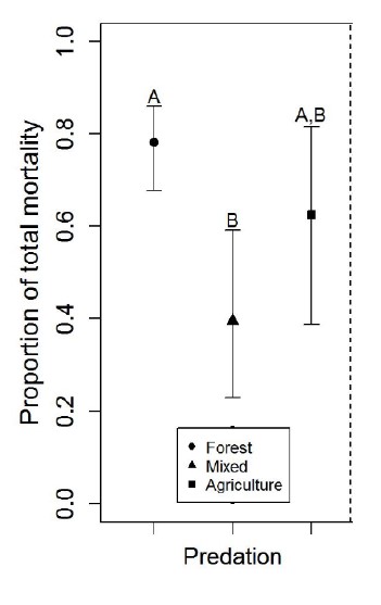 Don't run-graph1