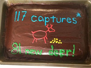 2017 trapping cake
