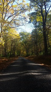 Coopers gap rd-RR