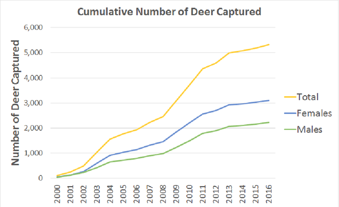 Deer-Forest Study