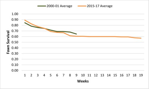 2017 fawn survival graph 19 wks