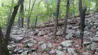 Fixed fence plot