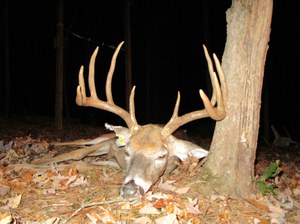 Buck11144-front