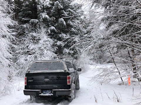 snowy road