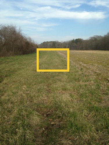 shed in field