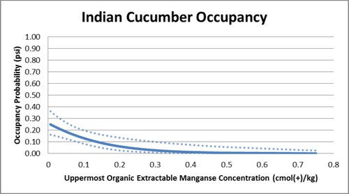 indian cucumber root occupany