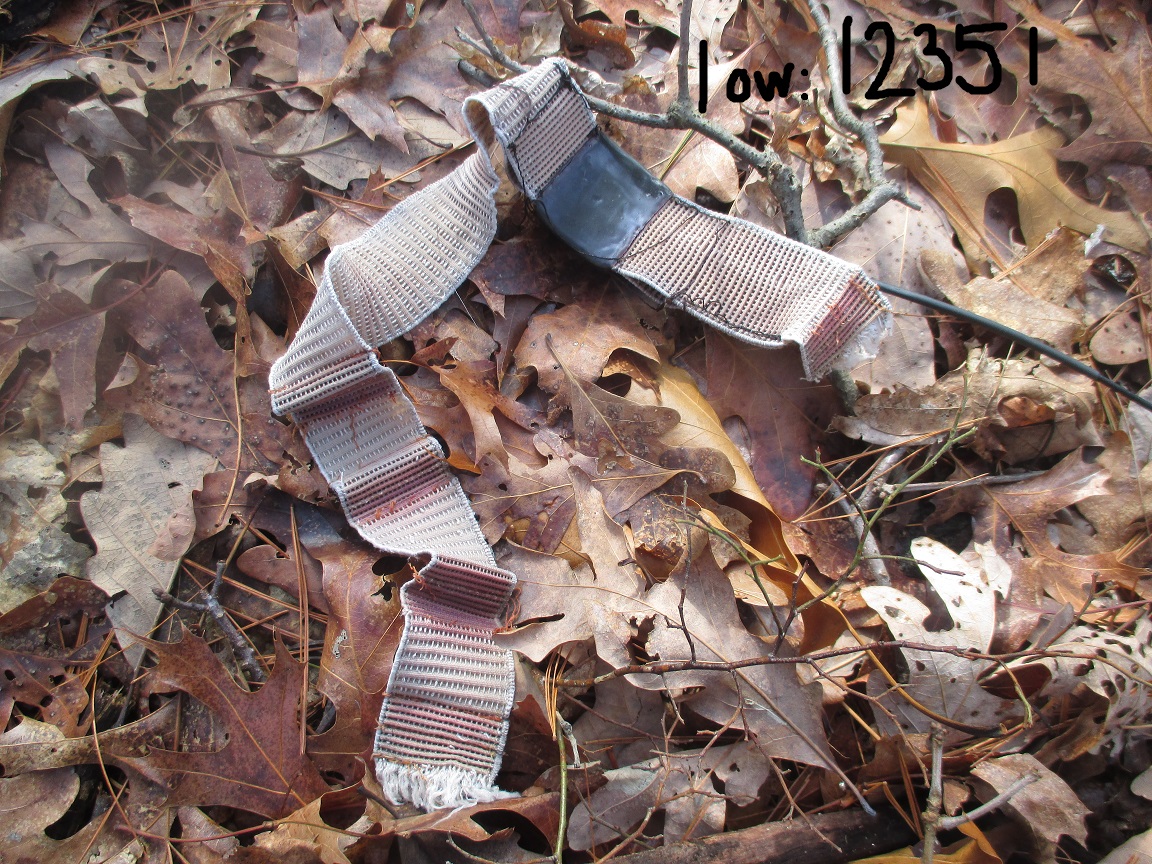 tattered fawn collar