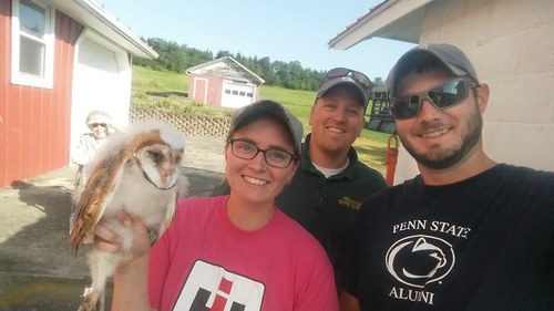 Barn owl banding