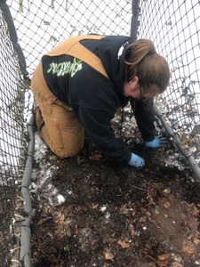 removing rocks