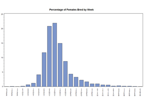 conception graph