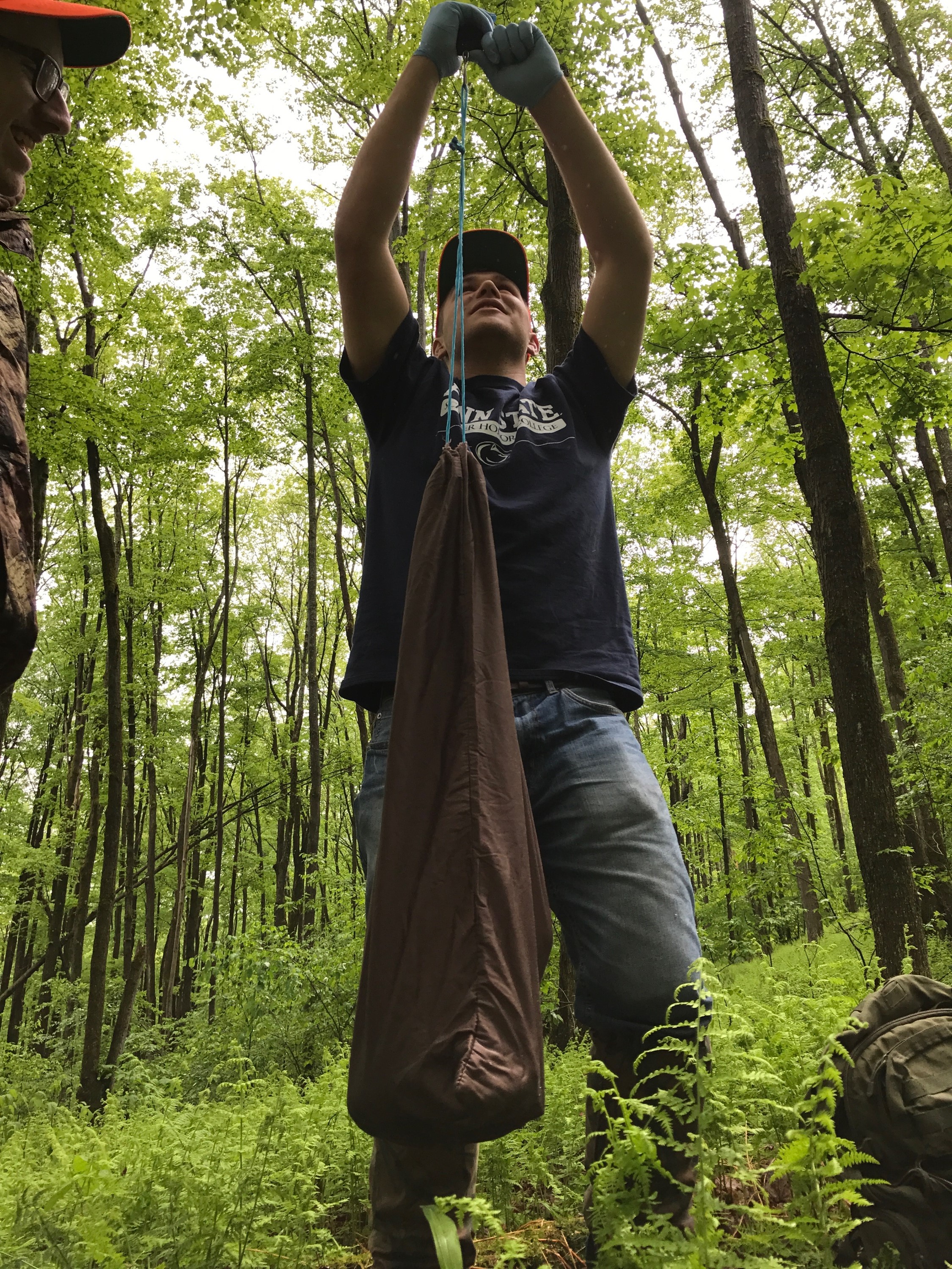 fawn weighing