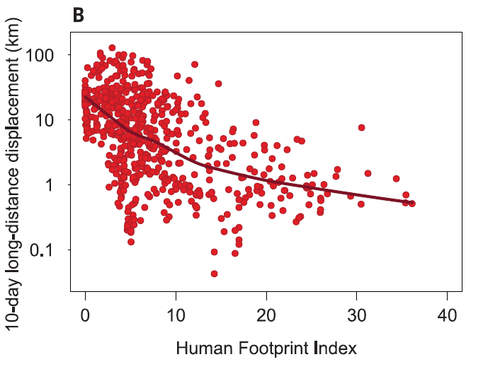 human footprint graph