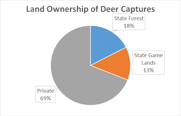 Deer-Forest Study