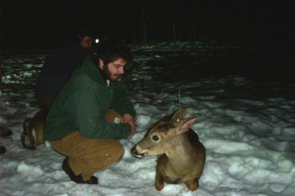 PSU Deer Study