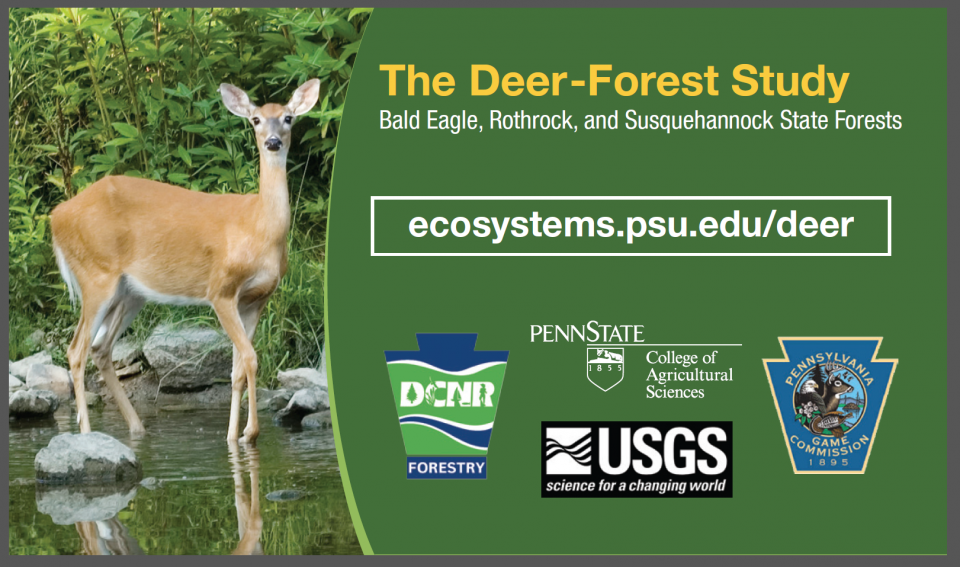 PSU Deer Study