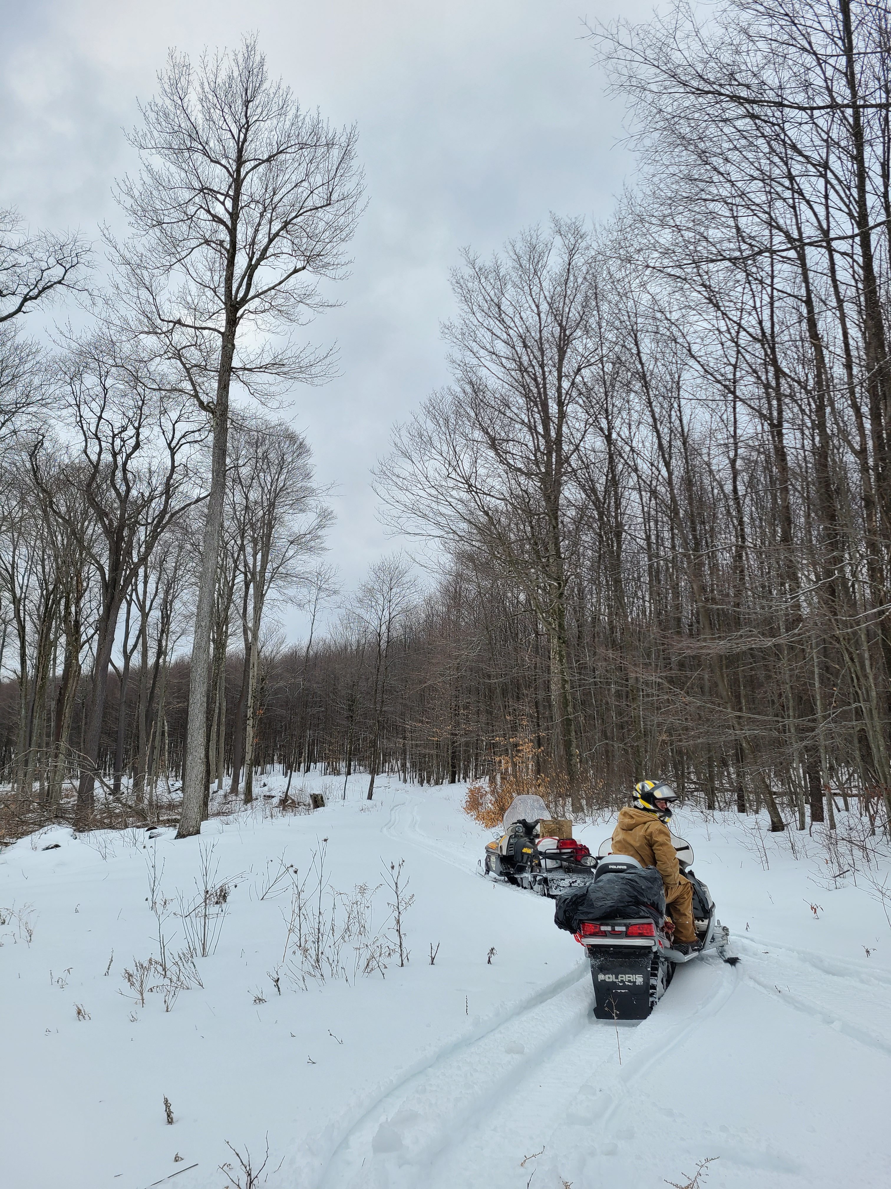 people of snowmobiles on forest trail