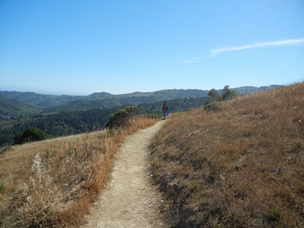 Hiking path in CA