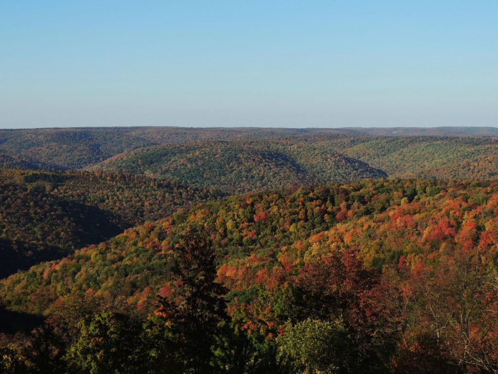 Pennsylvania State Forest