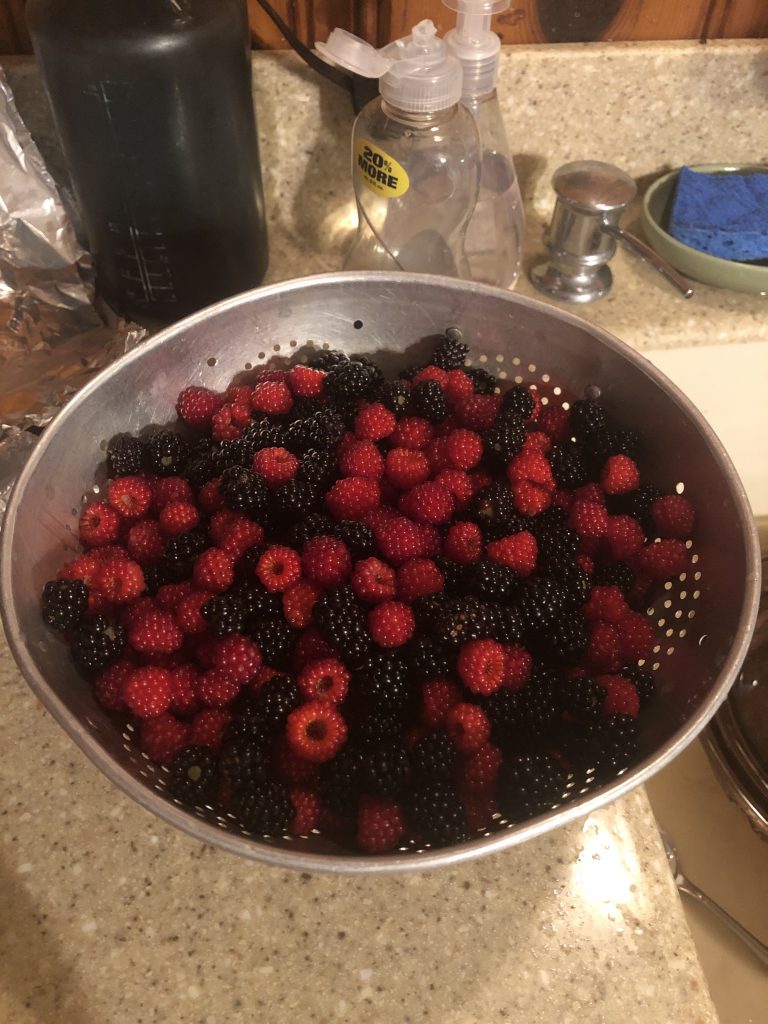 Berries bounty