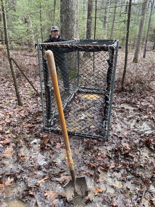 Clover trap in the forest in the mud