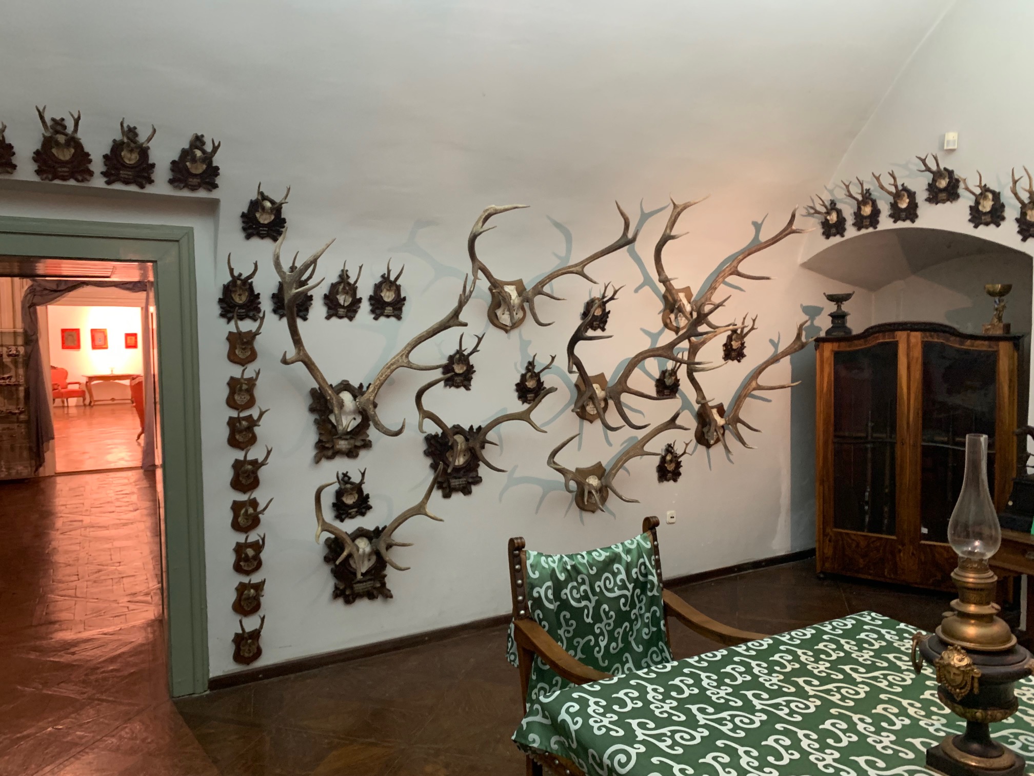 wall with antler mounts of various species