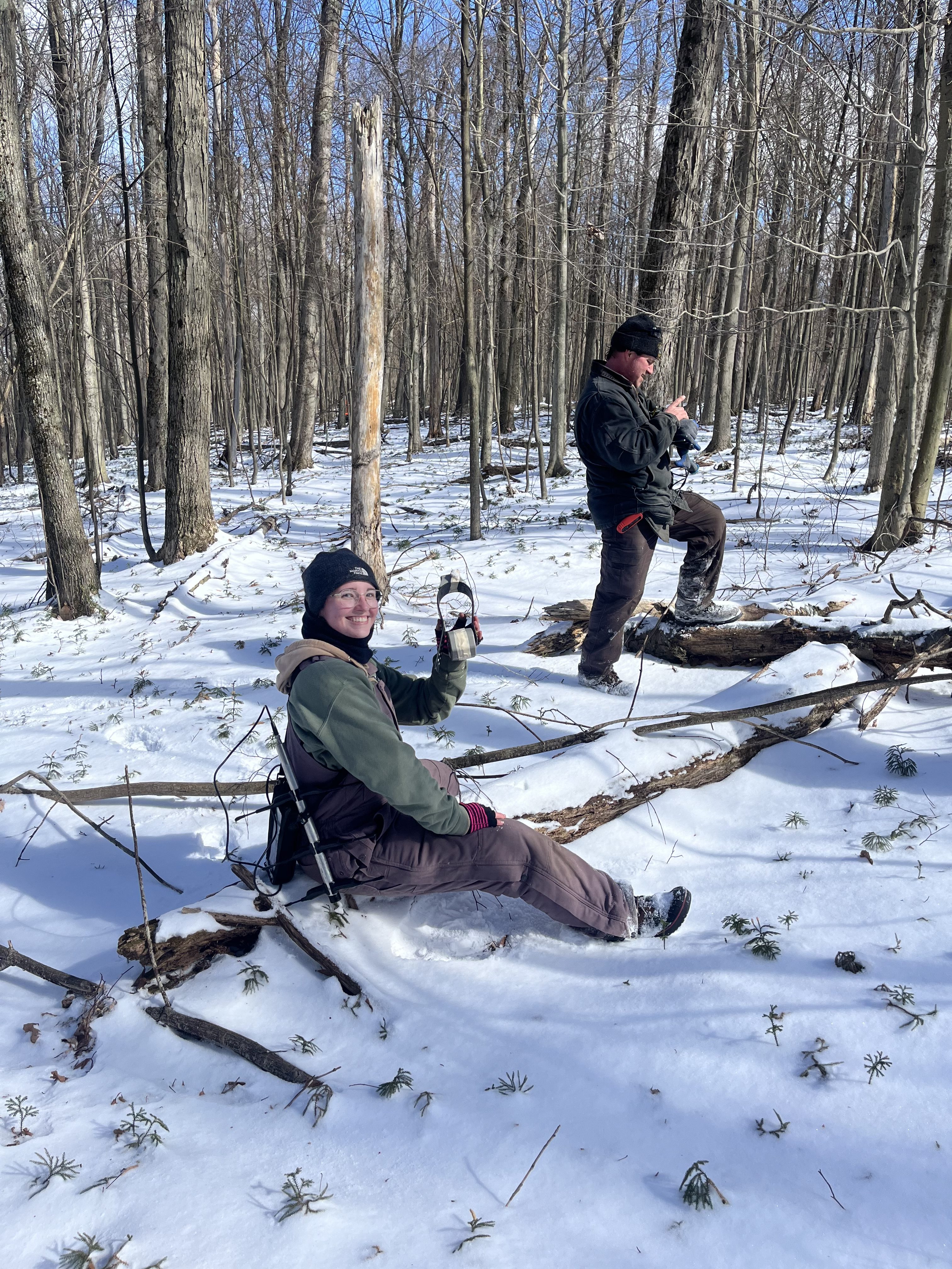 Crew member sitting on a snowy log holding up a GPS collar