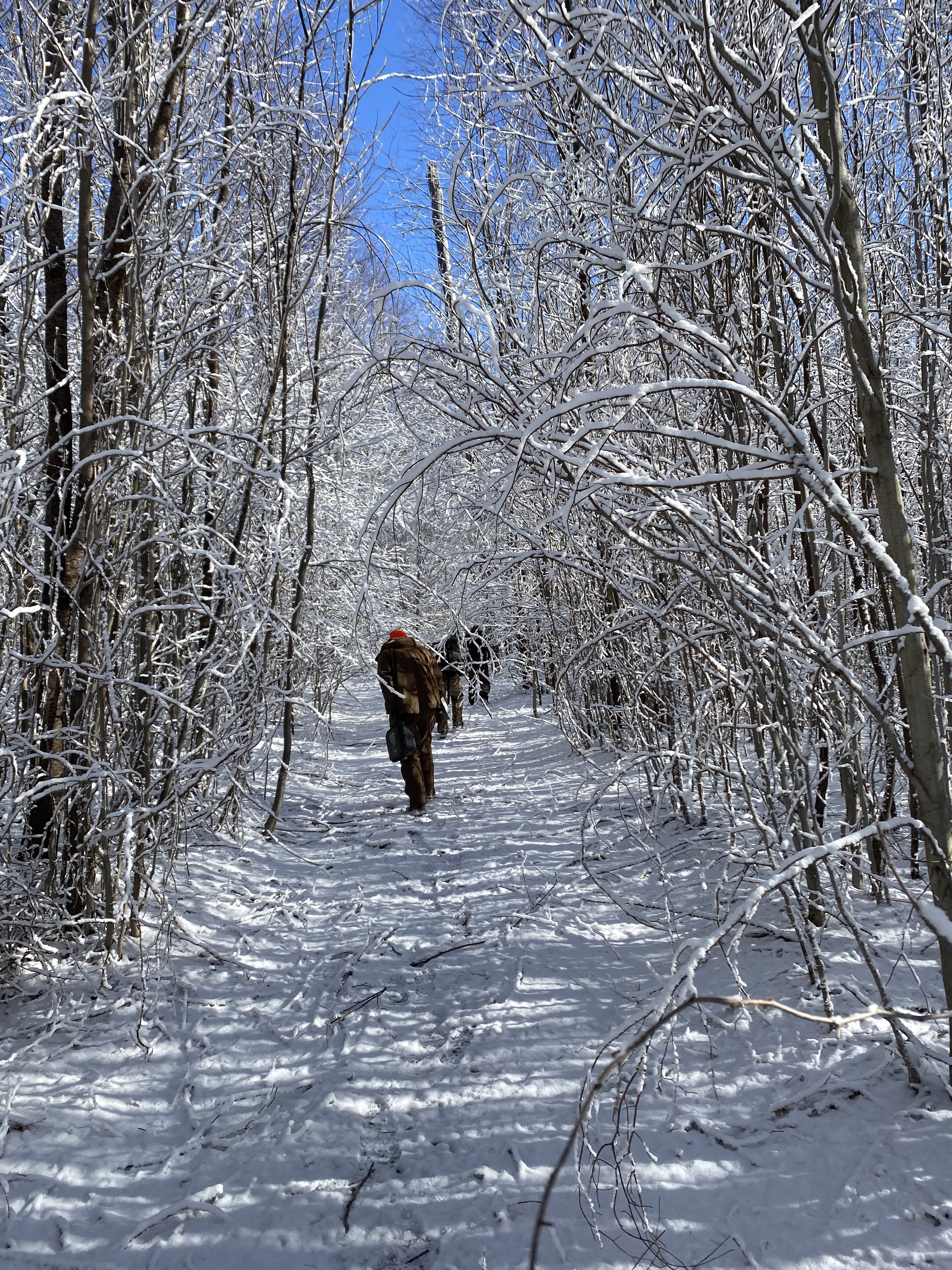Crew walking on Snowy forest trail