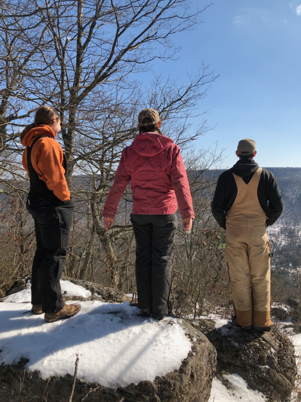3 people looking over a valley on a blue sky day