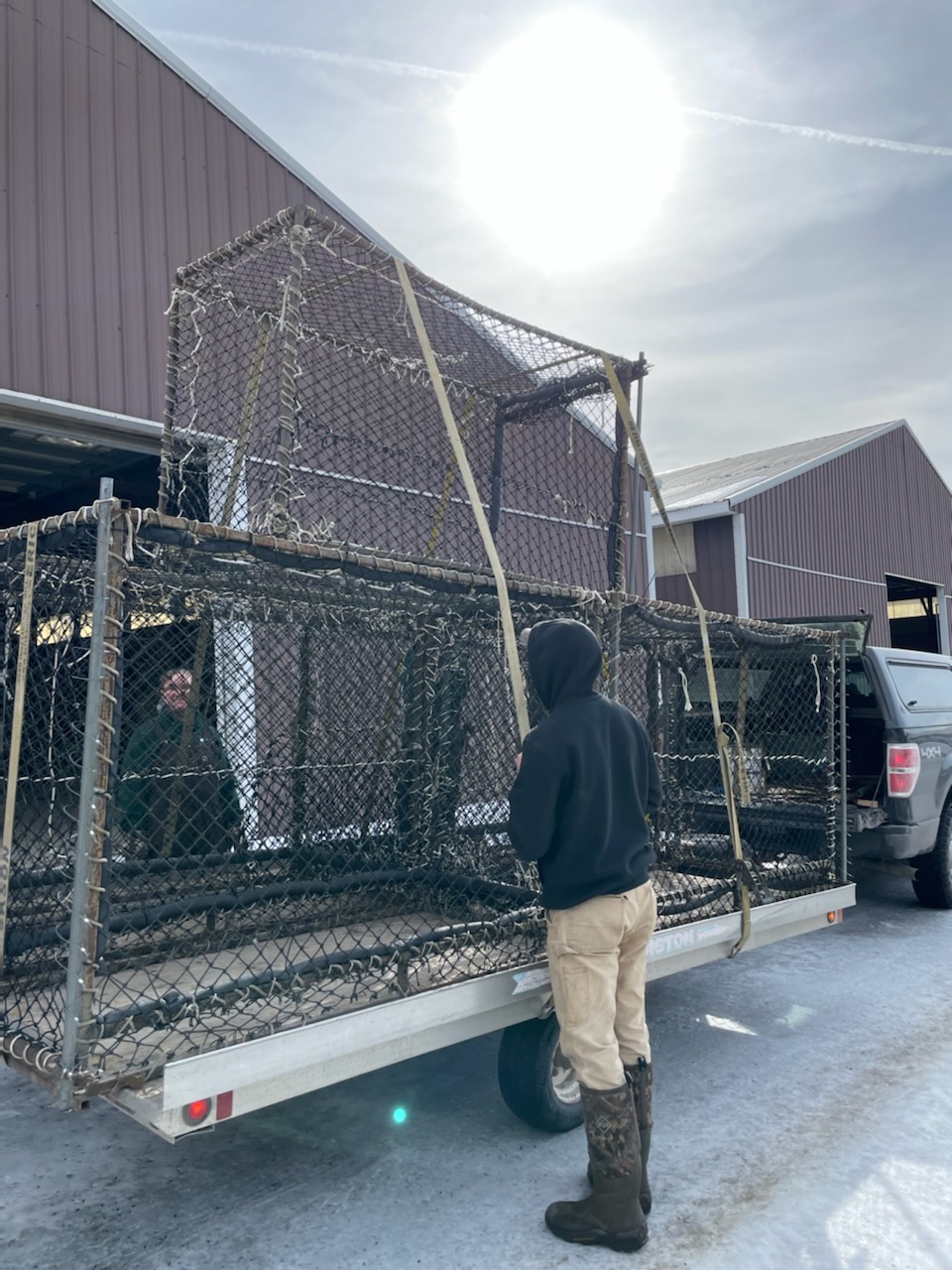 Trailer loaded with Clover traps