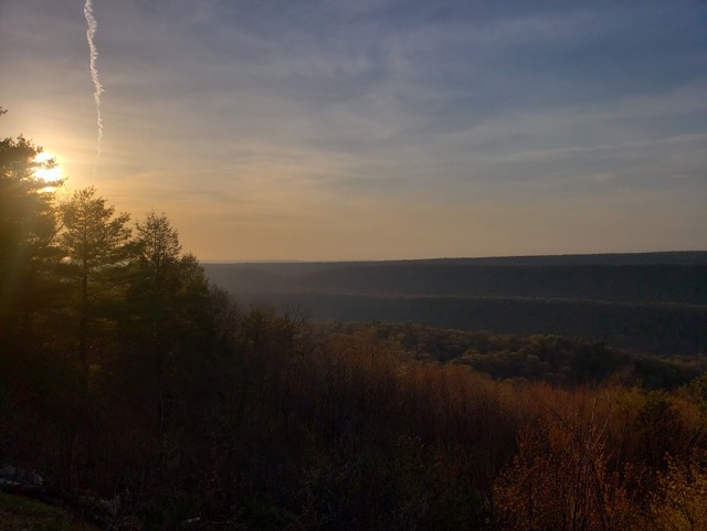 evening sunset over pennsylvania forest