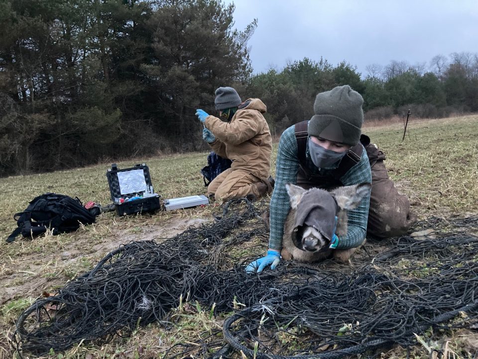 PSU Deer Study