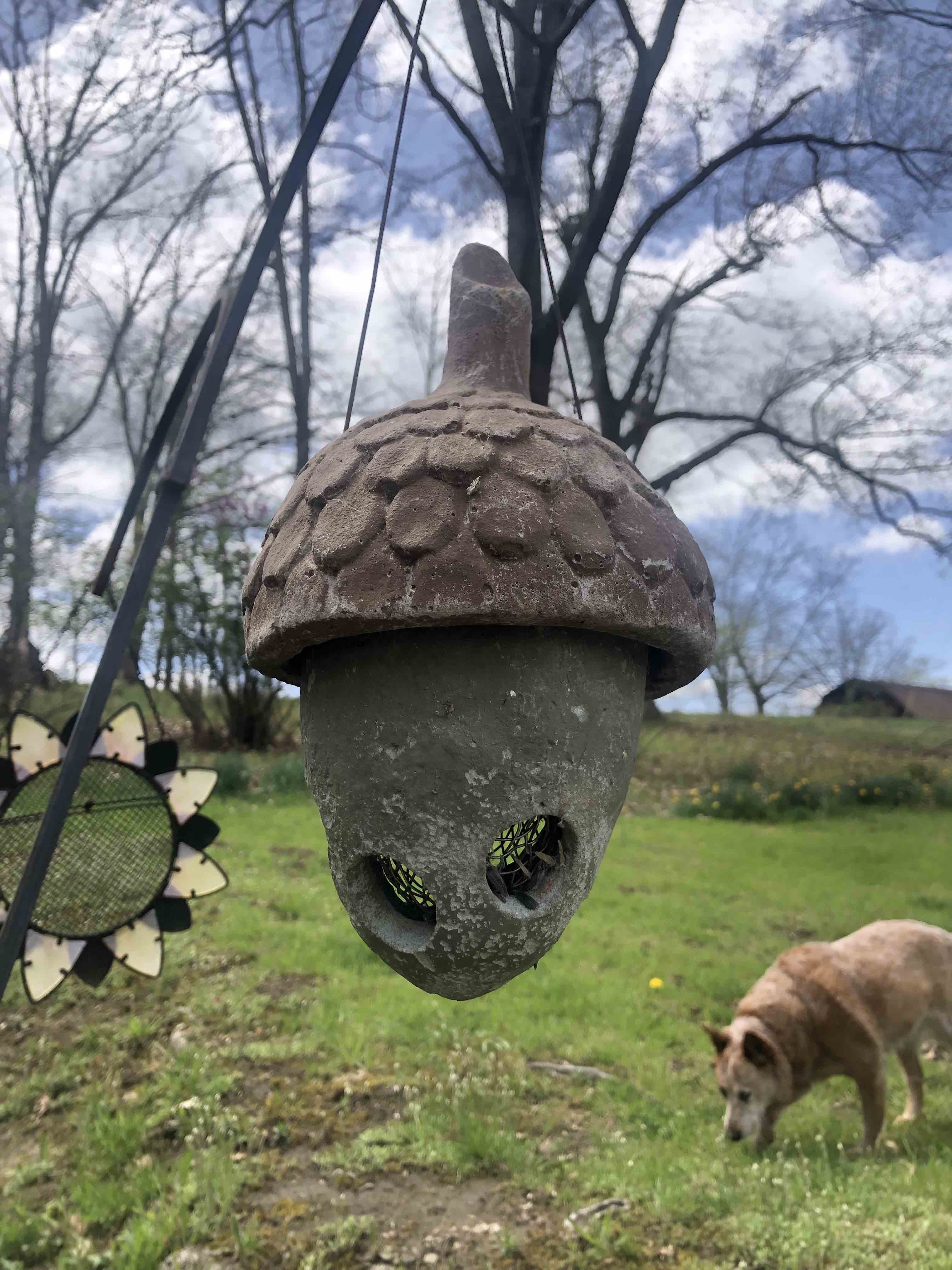 bird feeder in the shape of an acorn