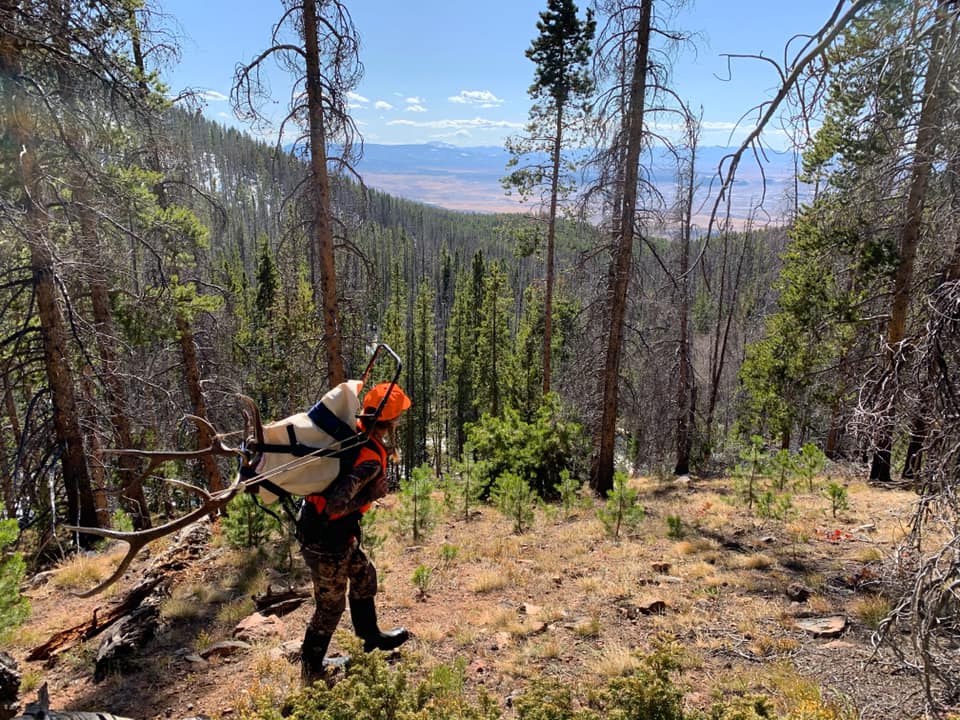 Hunter carrying elk antlers with awesome vista